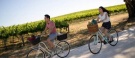 Ultimate Winery Experiences