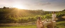 Ultimate Winery Experiences